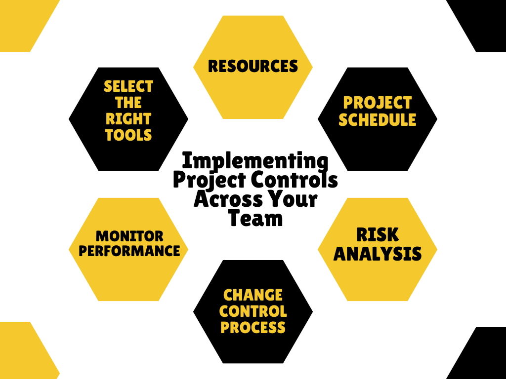 Implementing Project Controls